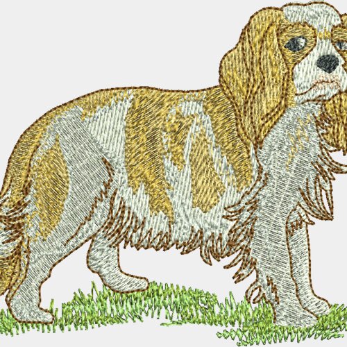 Wo445 Miniaturansicht