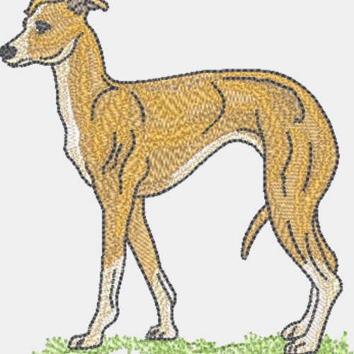 Wo443 Miniaturansicht