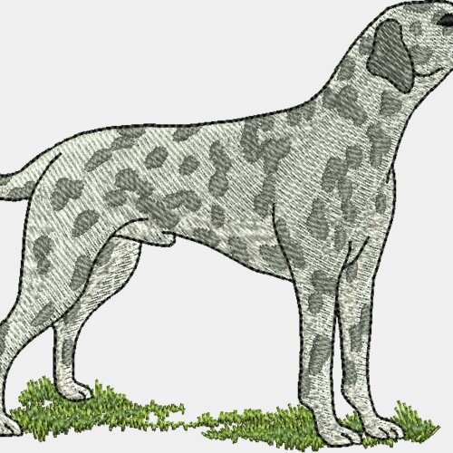 wo441 Miniaturansicht