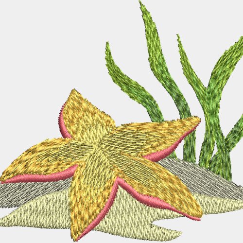 Seashells Miniaturansicht