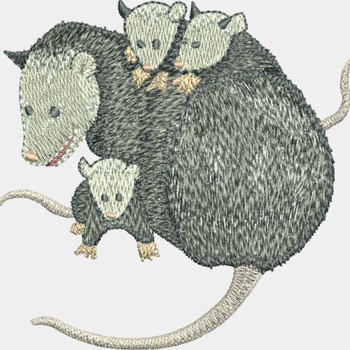 Beutelratte Miniaturansicht