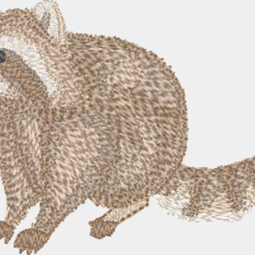 Waschbär Miniaturansicht