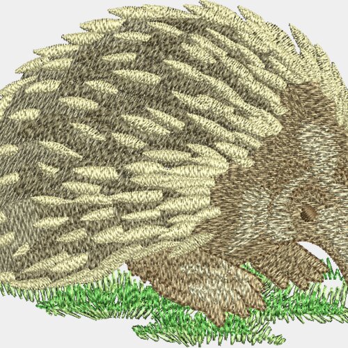 Echidna Miniaturansicht
