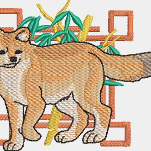 Dhole Miniaturansicht