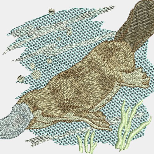 Platypus Miniaturansicht