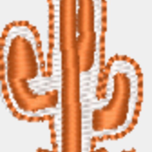 Kaktus Miniaturansicht